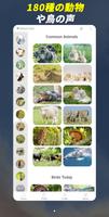 ワンダーアニマル：180の動物と鳥の音ゲーム ポスター