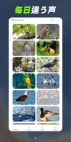 ワンダーアニマル：180の動物と鳥の音ゲーム スクリーンショット 1