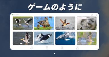 ワンダーアニマル：180の動物と鳥の音ゲーム スクリーンショット 2