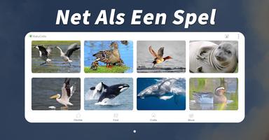 Magisch Dier: 180 Dier en Voge screenshot 2