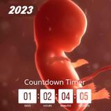 Baby Due Date Countdown Widget aplikacja