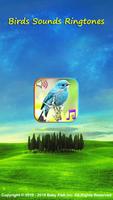 Birds Sounds Ringtones poster