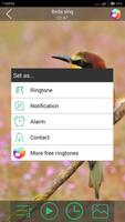 Birds Sounds Ringtones screenshot 3