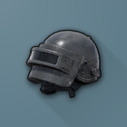 Stats PUBG icon