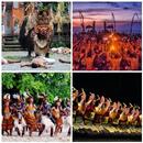 Guess Indonesian Dance APK