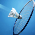 Badminton Trickshot Pro Tutor icon