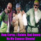 No Me Conoce Remix - Bad Bunny & Friends icône
