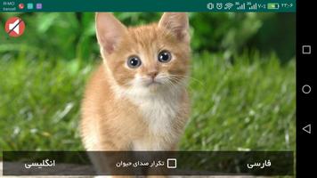 باد بادک screenshot 1