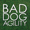 ”Bad Dog Agility