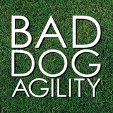 Bad Dog Agility icône