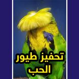 تحفيز البادجي على التزاوج 2022