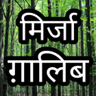 Mirza ghalib shayari in hindi. أيقونة