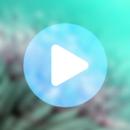 Badshah All Video Songs APK