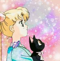 sailor moon wallpaper ภาพหน้าจอ 1