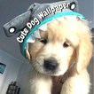 Puppies Wallpaper-Cute Dogs HD