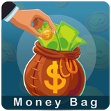 Money bag