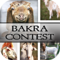 Bakra Contest