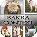 Bakra Contest APK