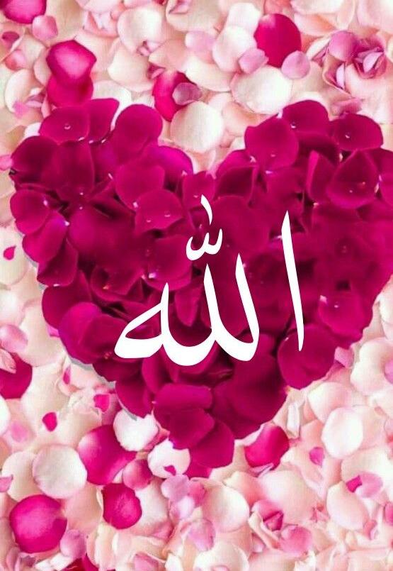 Unduh 6000 Wallpaper Allah Pink Paling Baru Unduh 6000 Wallpaper Allah Pink Paling Baru