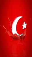 Türkei-Flaggen-Hintergründe Plakat