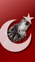 Turkey Flag Wallpapers screenshot 1