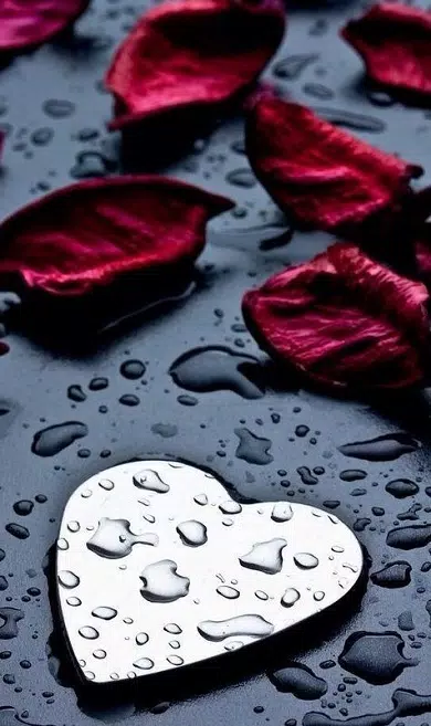 Heart Wallpapers APK for Android Download Heart Wallpapers APK for Android Download