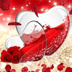 Red Rose achtergronden