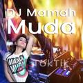 DJ Mamah Muda Offline