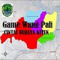 ”TEGAM ANEH PALI