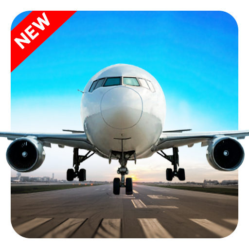 Airplane Flight Simulator 3d : Flying Simulator