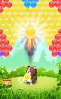 Raccoon Bubble Shooter 海报