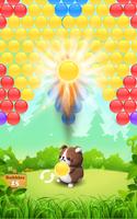 Raccoon Bubble Shooter Affiche