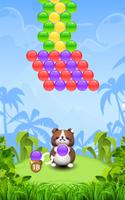 Raccoon Bubble Shooter 截图 1