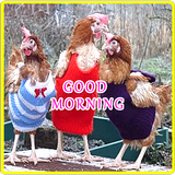 Good Morning Greetings (Images APK