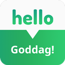 Danish Phrases -  Learn Danish Speaking APK