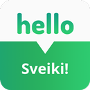 Lithuanian Phrases -  Learn Lithuanian Speaking APK