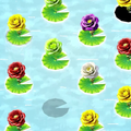 Water Flowers