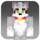 Acenix Skins for Minecraft APK
