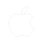 IStore icon