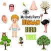 My Body APK