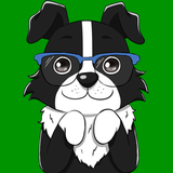 Border Collie Sticker Pack for WhatsApp