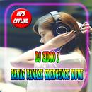 DJ CIDRO 2 - PANAS PANASE SRENGENGE KUWI APK