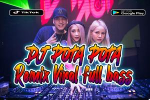 Dj Pota Pota Remix Viral скриншот 1