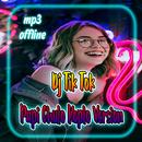 Dj Tik Tok Papi Chulo Koplo Version APK
