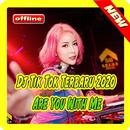 Dj Tik Tok Terbaru 2020 - Dj Are You With Me APK