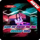 Lagu Dj Remix Tik Tok Lengkap 2020 APK