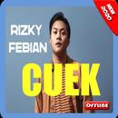 Lagu Rizky Febian - Cuek Offline APK