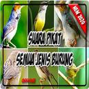 Suara Pikat Semua Jenis Burung Paling Ampuh APK