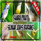Suara Pikat Semua Jenis Burung Paling Ampuh ícone