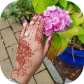 Henna in Pictures